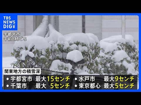 東京都心でも最大5cmの積雪観測　関東各地で雪降り続く　衆議院選挙投票や大学入試に影響も　9日午前6時までに多いところ… サムネイル