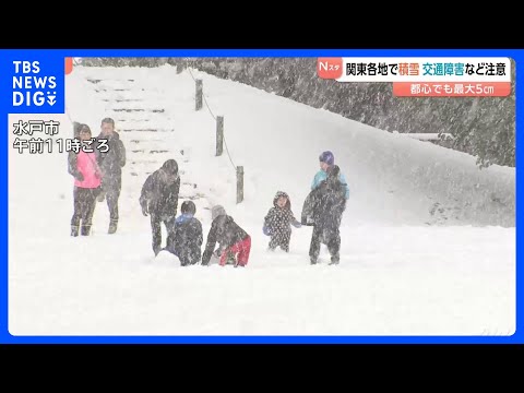 関東地方も警報級の大雪 栃木・宇都宮市で最大15cmの積雪を観測　交通障害に注意呼びかけ｜TBS NEWS DIG サムネイル