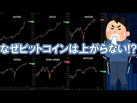 【仮想通貨 ビットコイン】最高値だらけの世界でBTCだけ不機嫌です「操作に見える下げ」と年末〜年明けの重要ポイント（朝… サムネイル