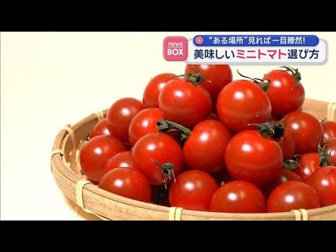 “ある場所”見れば一目瞭然！おいしいミニトマトの選び方【スーパーJチャンネル】(2026年2月23日) サムネイル