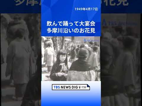 飲んで踊って大宴会　多摩川沿いのお花見｜TBS NEWS DIG shorts サムネイル