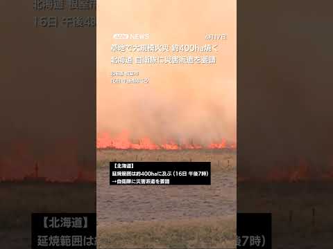 草地で大規模火災 約400ha焼ける　北海道 自衛隊に災害派遣を要請 shorts サムネイル