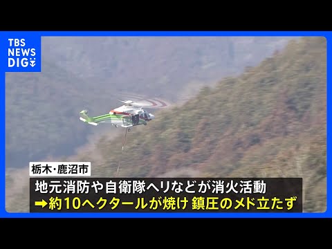 自衛隊ヘリも消火活動に　関東各地で山火事相次ぐ…　茨城・常陸太田市の住宅・工場火災は山林に延焼中　栃木・鹿沼市でも山林… サムネイル