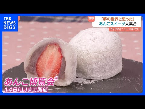 「罪悪感が少ない」時代はチョコよりも『あんこ』！？「これは夢の世界」東京・日本橋で魅惑の『あんこ博覧会』が開催中｜TB… サムネイル