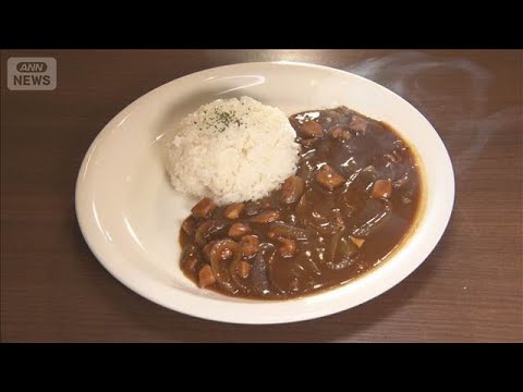 新橋500円カレーランチ人気 物価高でも低価格維持なぜ？　カレーライス指数は最高水準【もっと知りたい！】【グッド！モー… サムネイル
