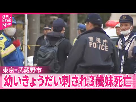 【幼いきょうだい刺される】母親の回復を待ち事情を聴く方針  3歳妹死亡  東京・武蔵野市 サムネイル