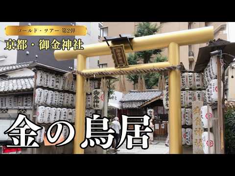 【ゴールドツアー】金色の鳥居で有名な御金神社参拝！境内に猫ちゃんもいましたぜ！阿闍梨餅と元祖肉汁付けめん（うどん）！ サムネイル