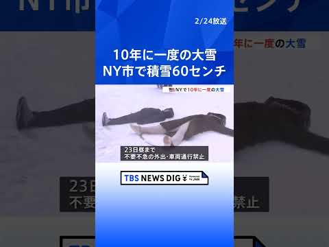 アメリカ北東部で猛烈な寒波 “最大60センチ”ニューヨークで10年に一度の大雪「見たことのないくらい車の姿がない」 7… サムネイル
