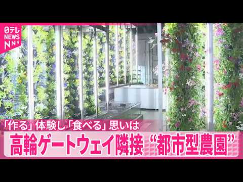 【“都市型農園”】高輪ゲートウェイ隣接施設  「作る」体験し「食べる」思いは サムネイル