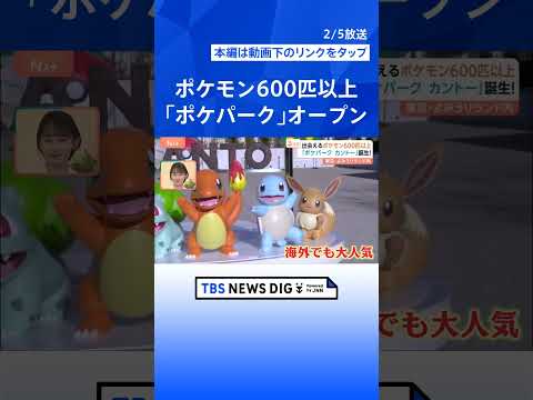 600匹超のポケモンに出会える「ポケパーク カントー」オープン、キャラクター×テーマパーク なぜ続々？【Nスタ解説】｜… サムネイル