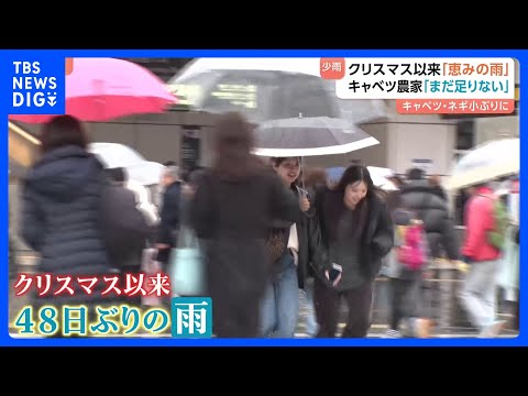 都心でクリスマス以来の“恵みの雨”　記録的少雨に苦しむ農家からは安堵の声が｜TBS NEWS DIG サムネイル