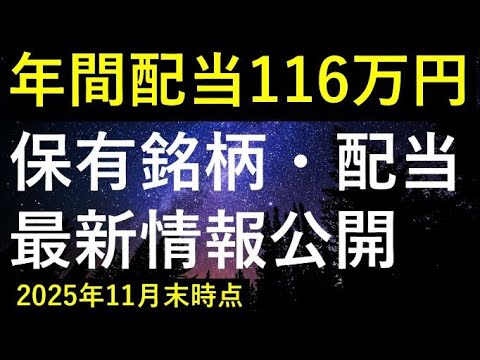 【今年最後の増配ラッシュ！】2025年11月末時点の保有銘柄・配当最新情報 サムネイル