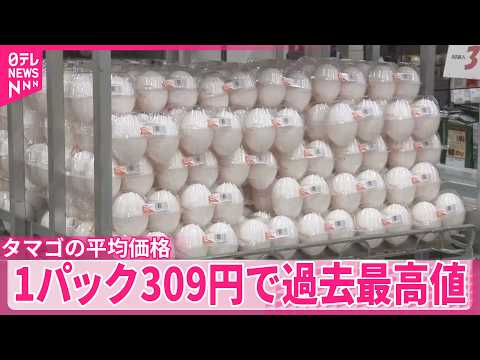 【タマゴ平均価格】1パック309円  過去最高値を更新 サムネイル