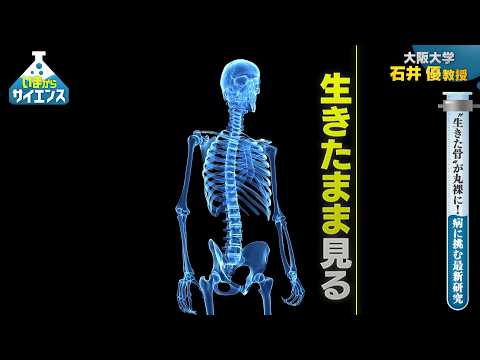 “生きた骨”が丸裸に！病に挑む最新研究 【いまからサイエンス】 サムネイル