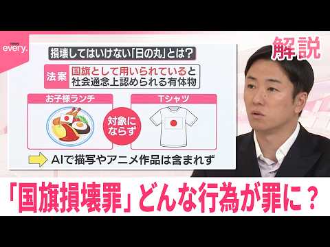 【解説】「国旗損壊罪」自民党部会で法案を大筋了承  どんな行為が罪に？【イチから確認 高市政策】 サムネイル