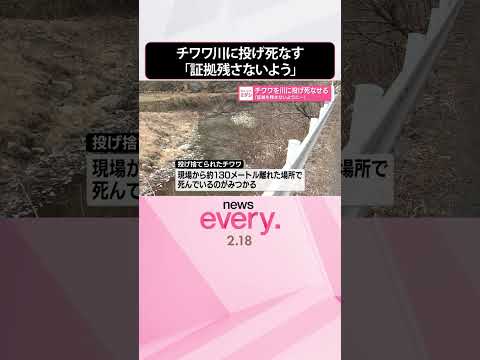 盗難車からチワワを川に投げ死なせる「証拠を残さないように…」  shorts サムネイル