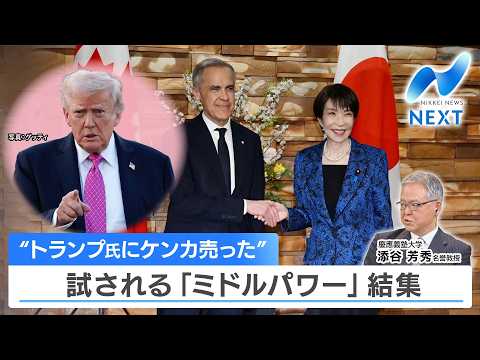 “トランプ氏にケンカ売った” 試される「ミドルパワー」結集【NIKKEI NEWS NEXT】 サムネイル