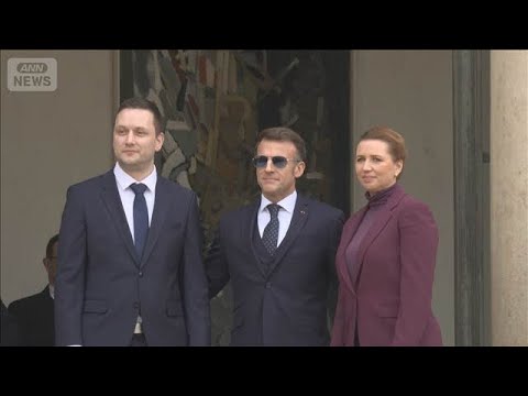 「世界秩序は消滅したかも」デンマーク首相が欧州の団結訴え　グリーンランドをめぐり(2026年1月29日) サムネイル