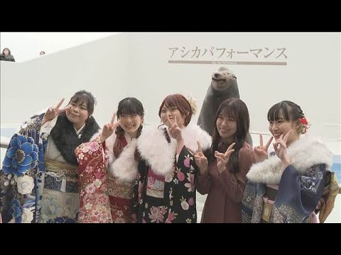 笑うアシカも祝福！　鴨川シーワールドで二十歳の集い 千葉・鴨川市(2026年1月11日) サムネイル