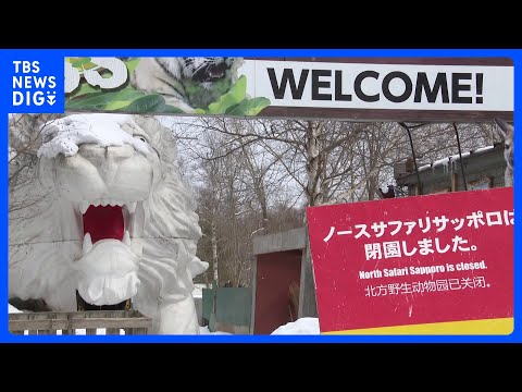 動物園ノースサファリサッポロに「除却命令」 違反の建築物は37棟　札幌市「異例の多さ」と指摘｜TBS NEWS DIG サムネイル