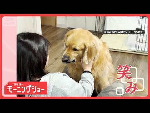 ニヒルな笑み　なでなですると口角上がるワンちゃん　右なら右　左なら左　両方なら？【羽鳥慎一モーニングショー】(2026… サムネイル