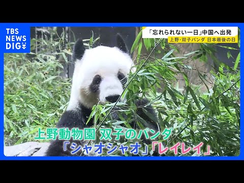 「忘れられない一日」上野・双子パンダ日本最後の日　“新たなパンダの貸与”は見通し立たず…中国「パンダを見に来ることを歓… サムネイル