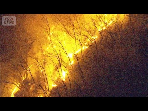 山梨県の山火事は延焼収まらず　ヘリで上空から消火予定(2026年1月9日) サムネイル