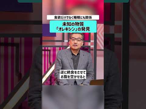 【石丸伸二×柳沢正史】「オレキシン」と睡眠　睡眠 睡眠科学 不眠症 石丸伸二 柳沢正史 睡眠改善 睡眠負債 NewsP… サムネイル