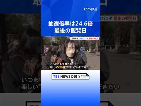 もうすぐさよなら　上野動物園の「双子パンダ」最後の観覧日　抽選倍率は24.6倍　国内は54年ぶりにパンダ不在へ｜TBS… サムネイル