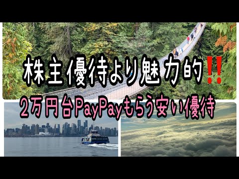 【株主優待】株主優待より魅力的‼️2万円台PayPayもらう安価優待 サムネイル