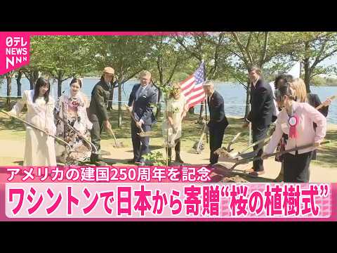 【建国250周年を記念】アメリカワシントンで日本から寄贈“桜の植樹式” サムネイル