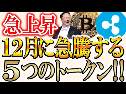 【XRP現物ETFが史上2位の速さで1,200億円の資金流入に成功!!】クリスマスに上昇が見込めるトークンとは？？【ビ… サムネイル