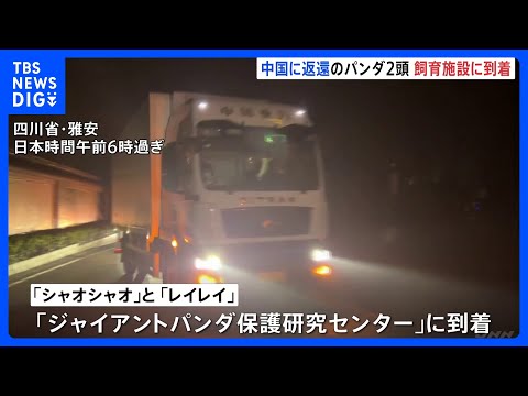 中国返還の双子パンダ「シャオシャオ」と「レイレイ」 飼育施設に到着　施設周辺には日本人の姿も「無事に着いてホッとしてい… サムネイル