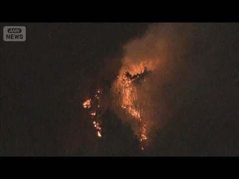 山梨・上野原市の山火事　4日目も鎮火のめど立たず　“強風”の影響で勢い収まらず(2026年1月11日) サムネイル