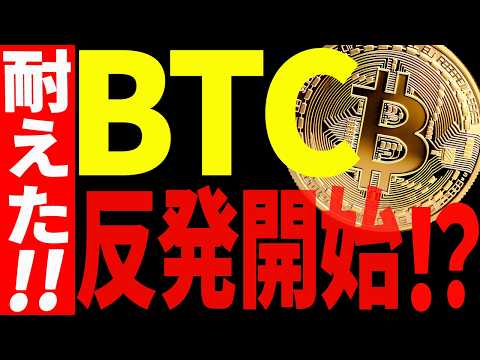 ビットコインの反発が始まる⁉今後の流れに乗りたいなら必ず〇〇を見ろ！【仮想通貨】 サムネイル