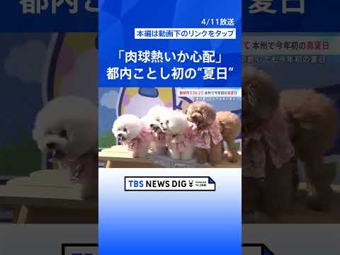 「肉球熱いか心配」今年初の“夏日” 都内で犬と楽しむイベント　静岡市は30.3℃で本州初の“真夏日”に　各地で29℃台… サムネイル