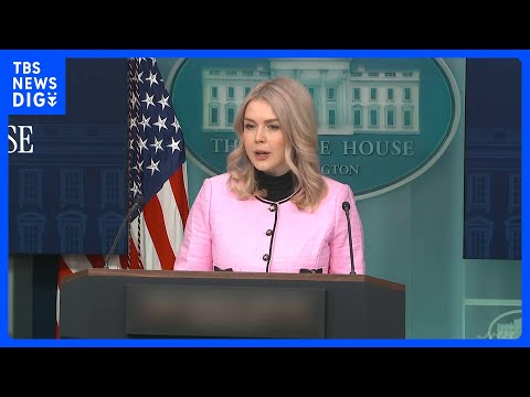 グリーンランド領有は「ロシア・中国の影響力排除」レビット報道官　来週デンマークと協議｜TBS NEWS DIG サムネイル