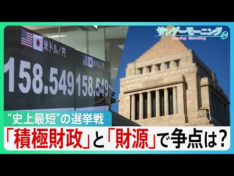 なぜ今？“史上最短”の選挙戦　真冬のポスター掲示に“限界”「食料品消費税ゼロ」自民も…本気度は？財源は？“物価高と円安… サムネイル