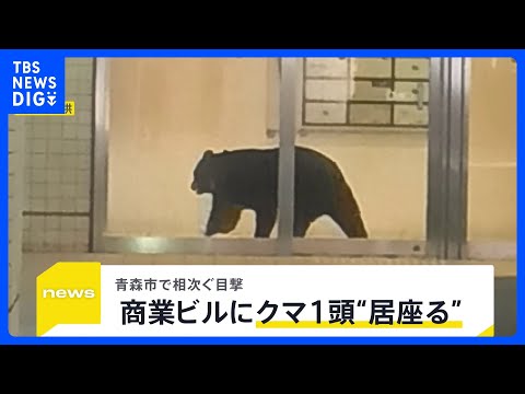 青森市でクマ1頭がホテルなどが入る商業ビルで“居座り” 中心街に響いた2発の銃声…出没から約3時間後に緊急銃猟で駆除【… サムネイル