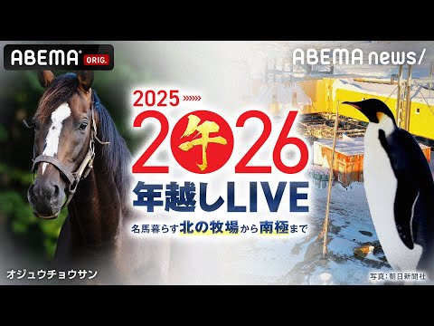 【LIVE】2025→2026 年越し特番 - 名馬暮らす北の牧場から南極まで -｜12月31日(水) 23:15〜 サムネイル