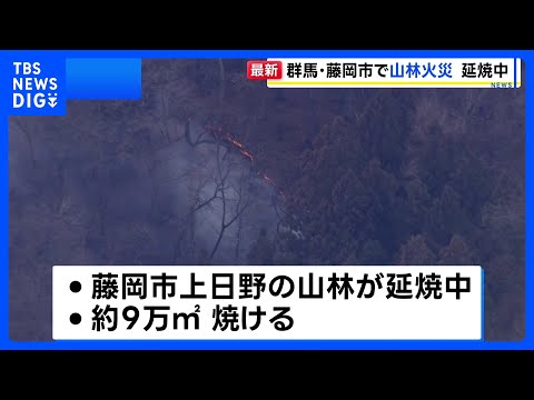 群馬・藤岡市で山林火災 延焼中　きょうも自衛隊のヘリなどによる消火活動の予定｜TBS NEWS DIG サムネイル