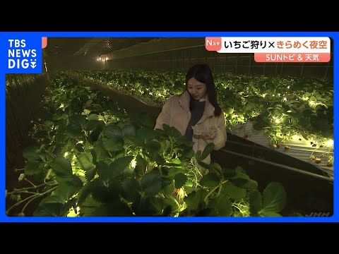 少し変わったいちご狩り体験　おとぎの国に、きらめく夜空も【SUNトピ】｜TBS NEWS DIG サムネイル