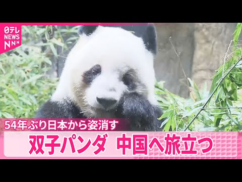 【双子のパンダ】中国へ旅立つ  54年ぶり全てのパンダが日本から姿消す サムネイル