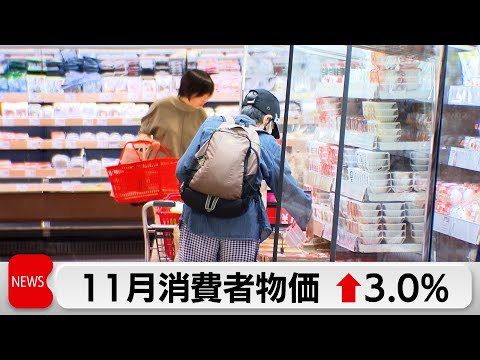 11月の全国消費者物価指数 3.0％上昇　前月から横ばい　食料品は高止まり サムネイル