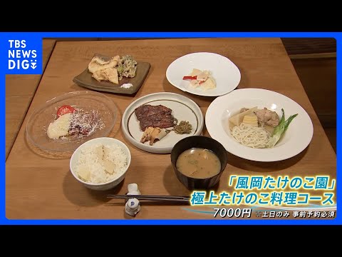 タケノコ豊作でお得に！キャンプ場は無料で掘り放題 絶品！タケノコ料理｜TBS NEWS DIG サムネイル