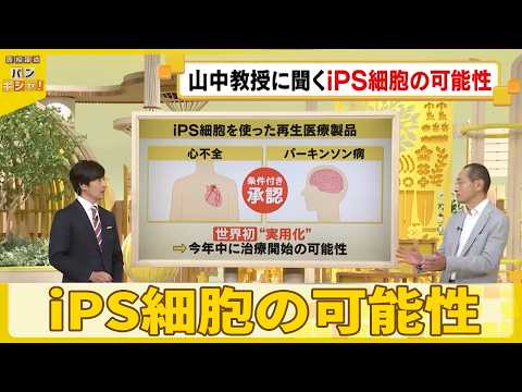 【iPS細胞】山中教授に聞く「iPS細胞」の可能性…“人工血液”さらなる治療開発へ『バンキシャ！』 サムネイル