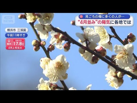 “4月並み”の陽気に各地では　見ごろの梅に多くの人が…【スーパーJチャンネル】(2026年2月15日) サムネイル