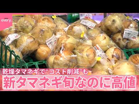 【タマネギ高騰】北海道で雨不足  新タマネギ旬でも高値  新たな選択肢｢乾燥タマネギ｣も サムネイル