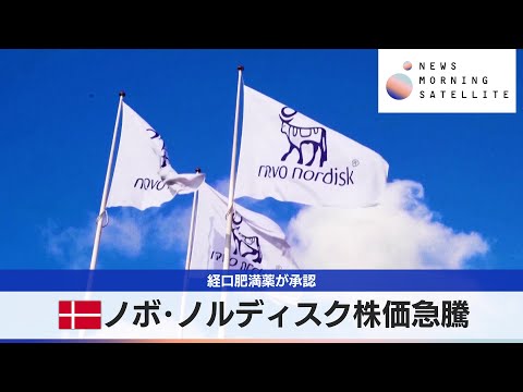 デンマーク ノボ･ノルディスク株価急騰　経口肥満薬が承認【モーサテ】 サムネイル