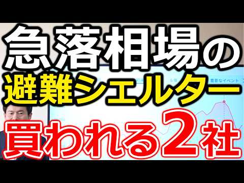【急落相場の避難シェルター！】日経平均4000円急落も、実は買われている2銘柄がこちらです サムネイル